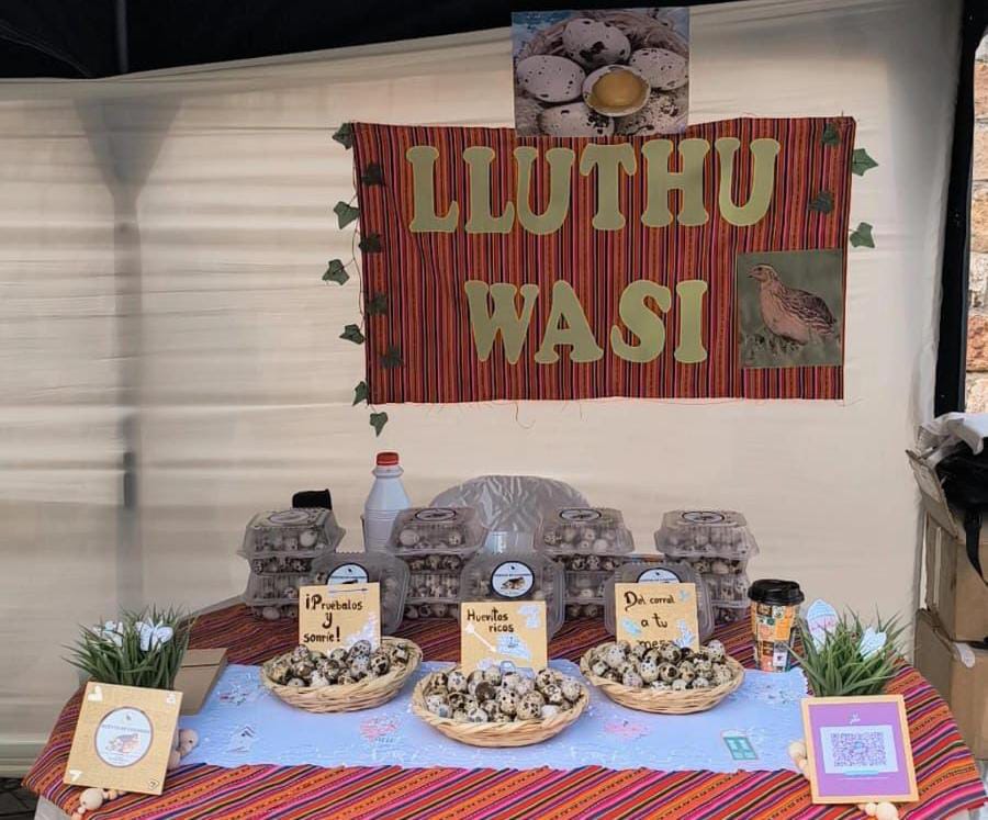 Lluthu Wasi
